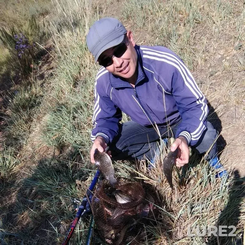 Карась — Илек, 23 авг. 2019 г.
