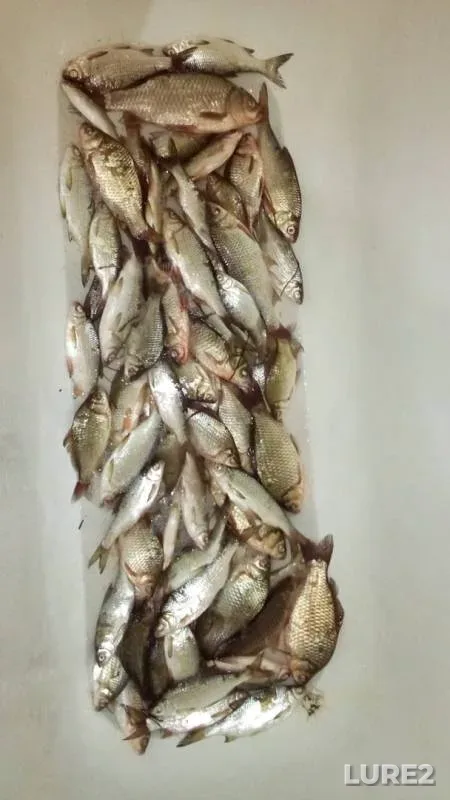Карась — Акколь, 13 окт. 2019 г.