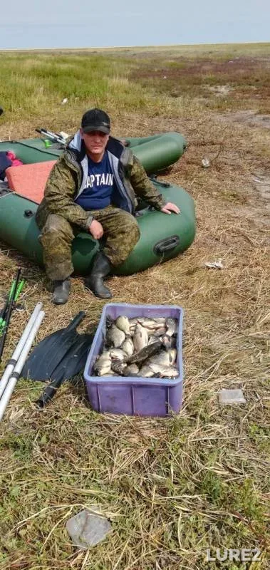 Карась