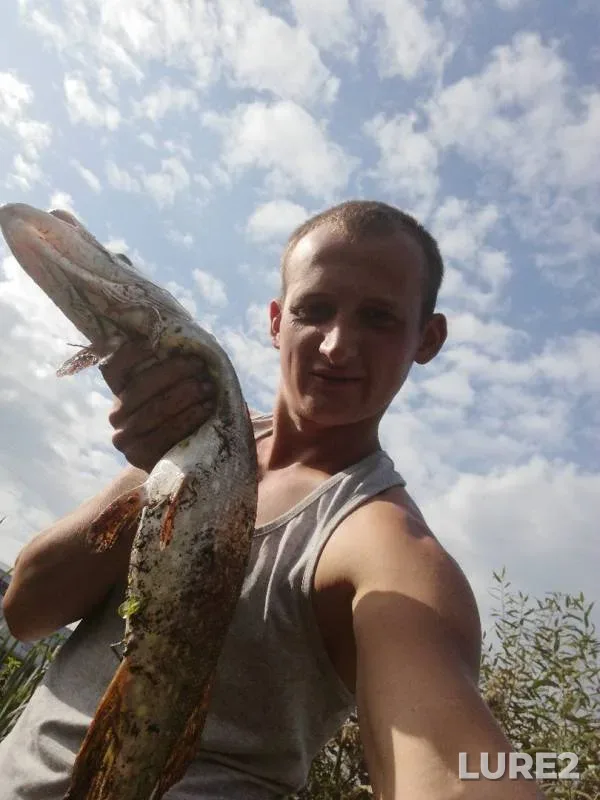 Щука — Упа, 02 сент. 2019 г.