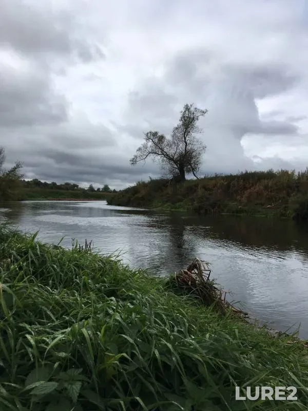 Окунь, Щука — Упа, 20 сент. 2019 г.