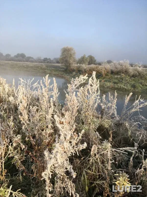 Окунь, Щука — Упа, 26 сент. 2019 г.