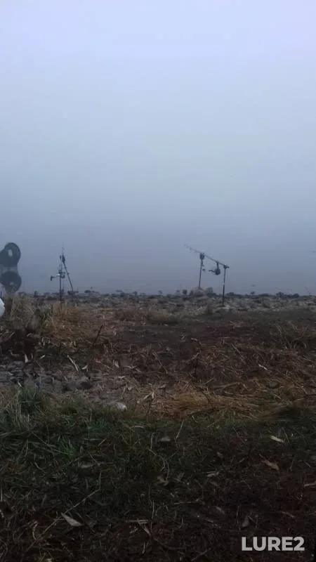 Лещ, Карась — Старобешевское, 29 окт. 2019 г.