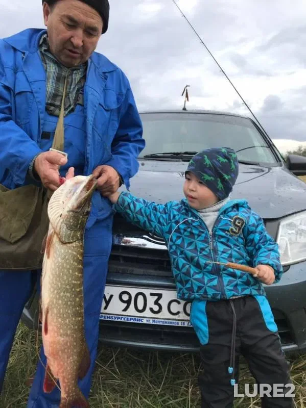 Щука — Оренбургская область, 10 сент. 2019 г.
