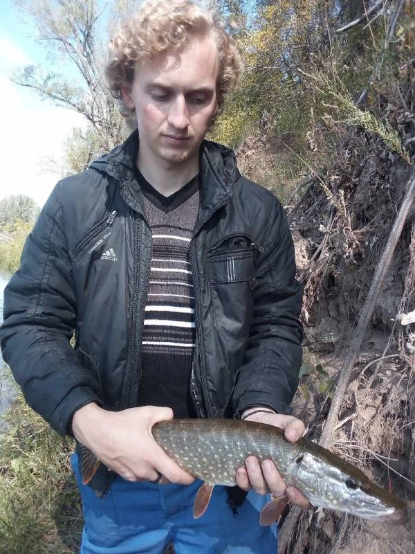 Щука