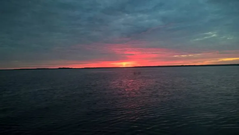 Окунь, Щука