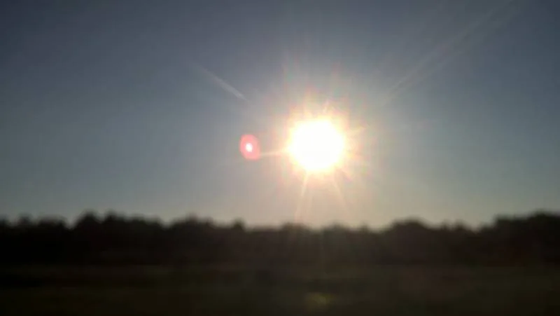 Окунь, Щука