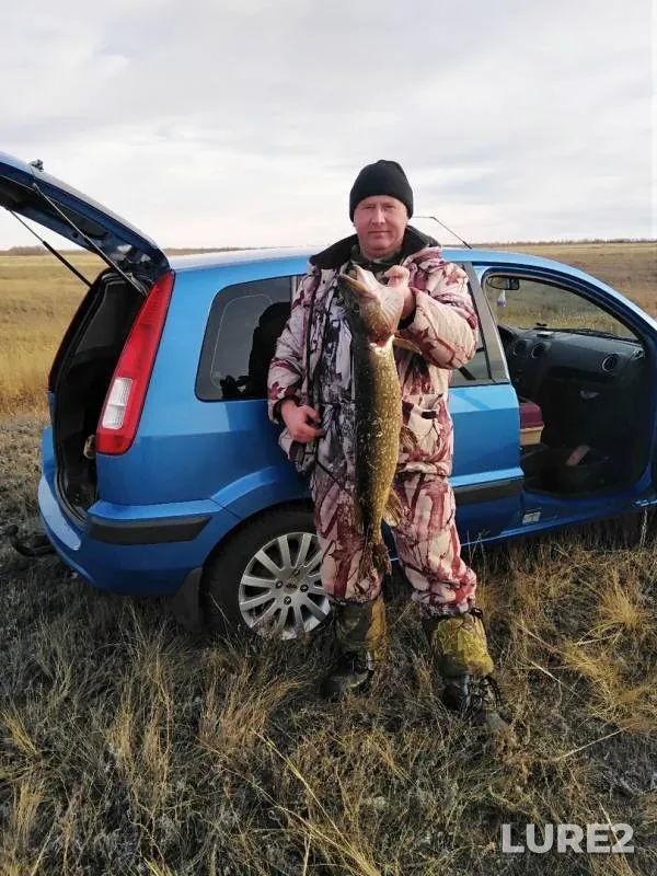 Щука — Оренбургская область, 29 нояб. 2019 г.
