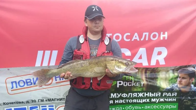 Щука