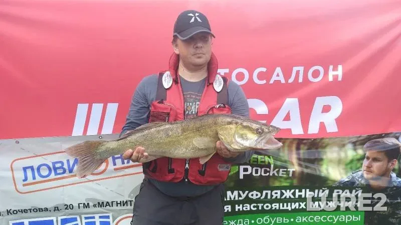 Щука