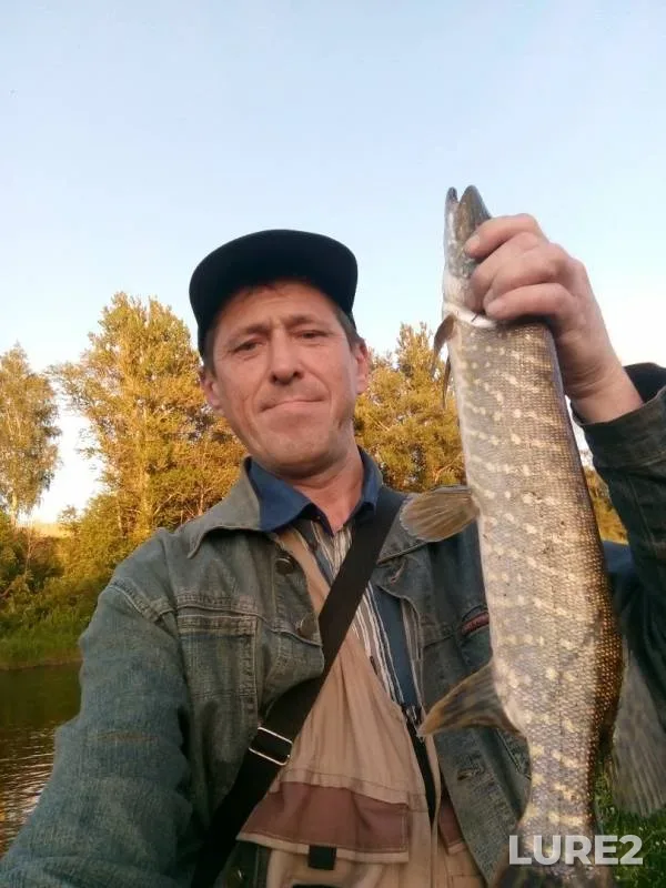 Щука — Мста, 30 июн. 2019 г.