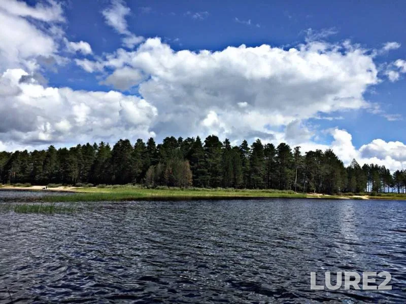 Щука — Городно, 14 июл. 2019 г.