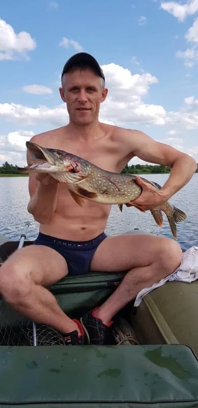Щука