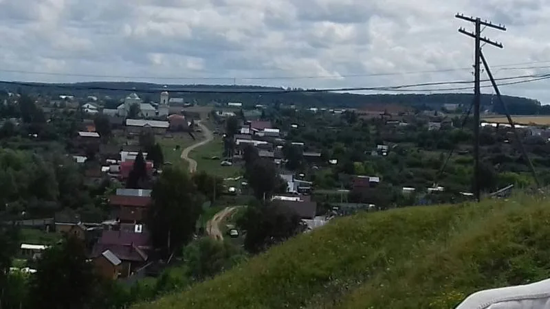 Лещ, Сом