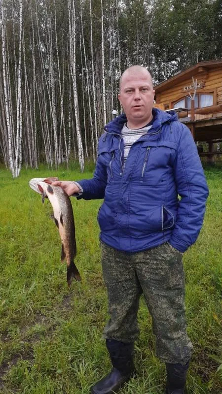Окунь, Щука