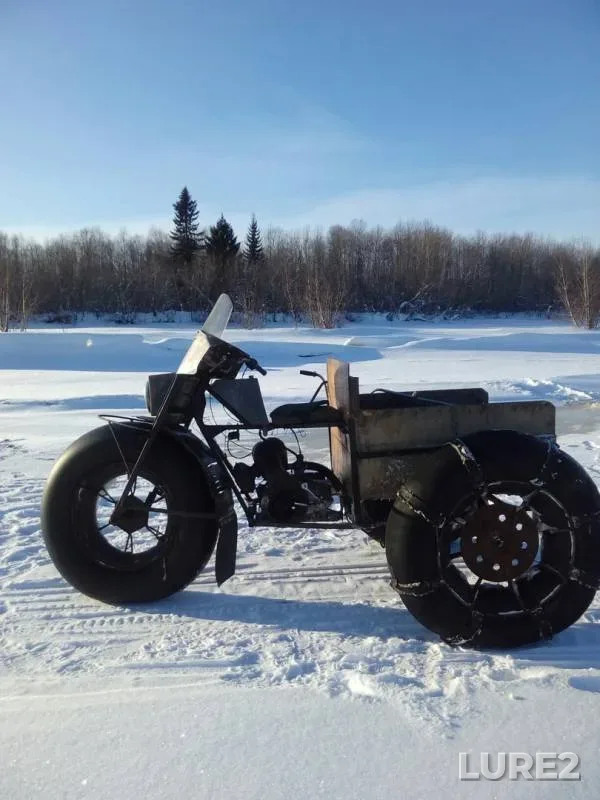 Окунь