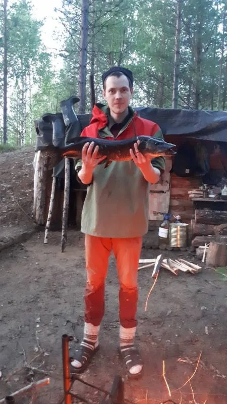 Щука