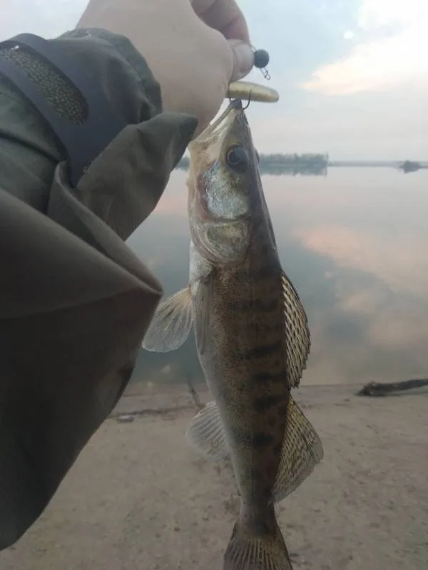Судак
