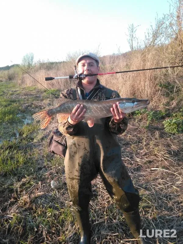 Щука — Дон, 24 апр. 2019 г.