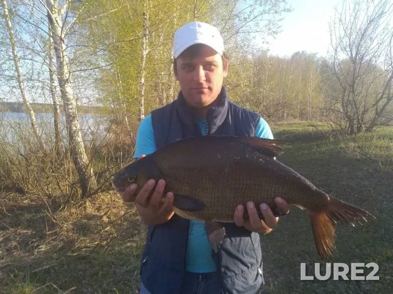 Лещ — Матырское, 24 апр. 2019 г.