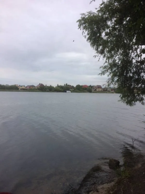Лещ