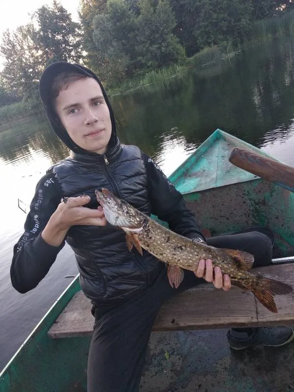 Щука