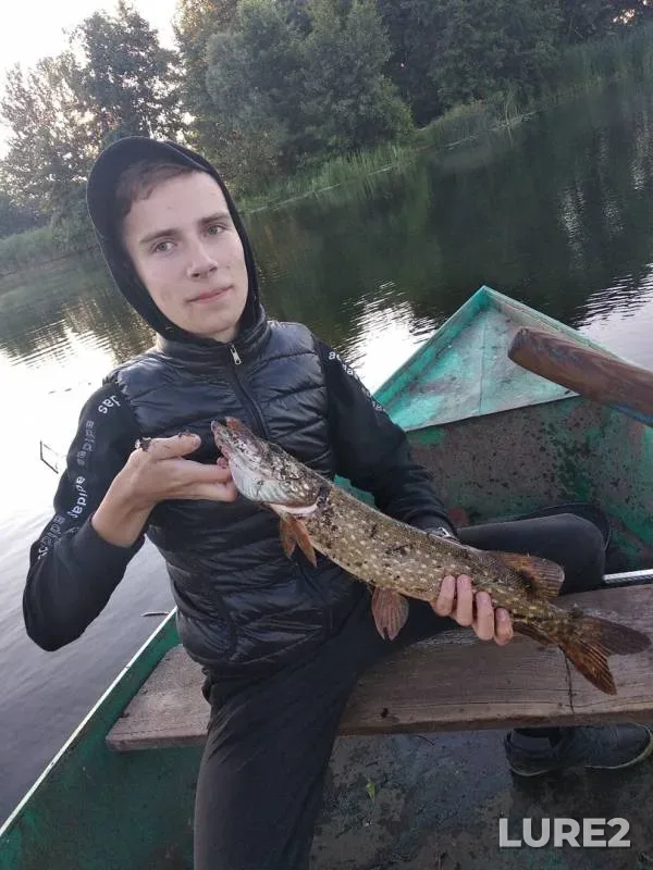Щука — Воронеж, 04 июл. 2019 г.