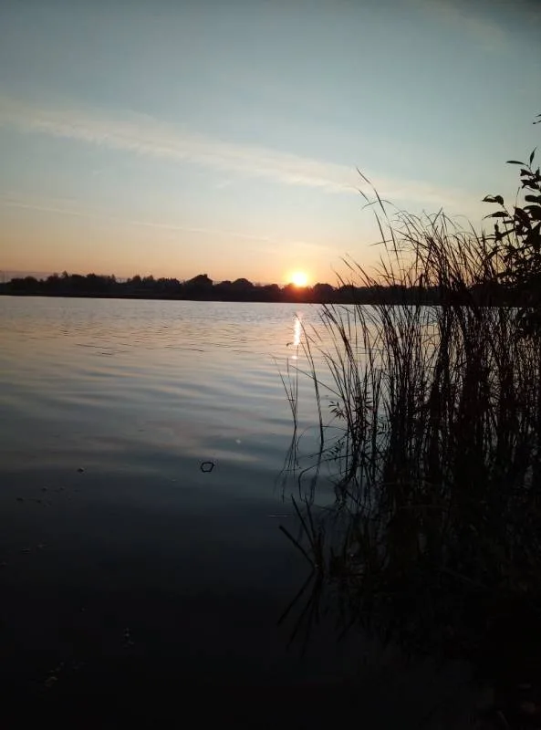 Окунь