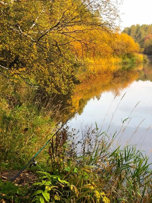 Окунь