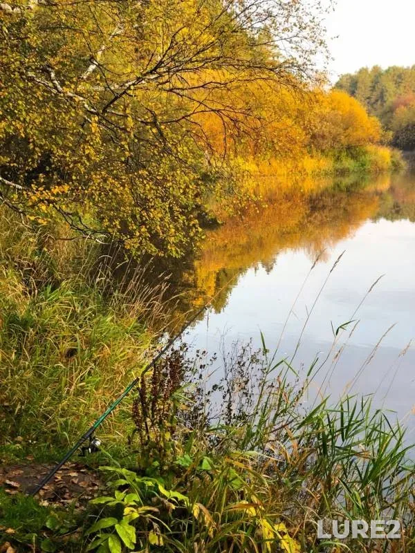 Окунь — Баранча, 15 сент. 2019 г.