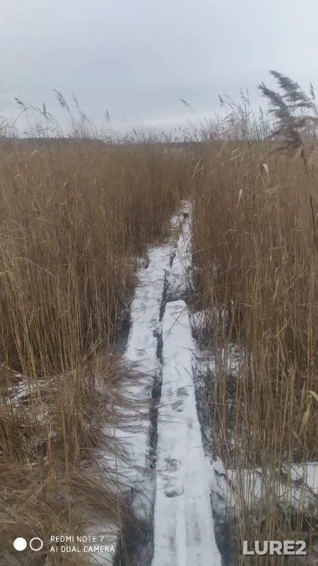 Окунь — Аятское, 12 нояб. 2019 г.