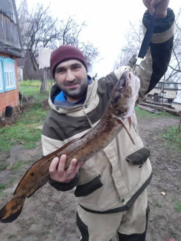 Щука