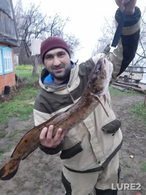 Щука — Куйбышевское, 12 нояб. 2019 г.