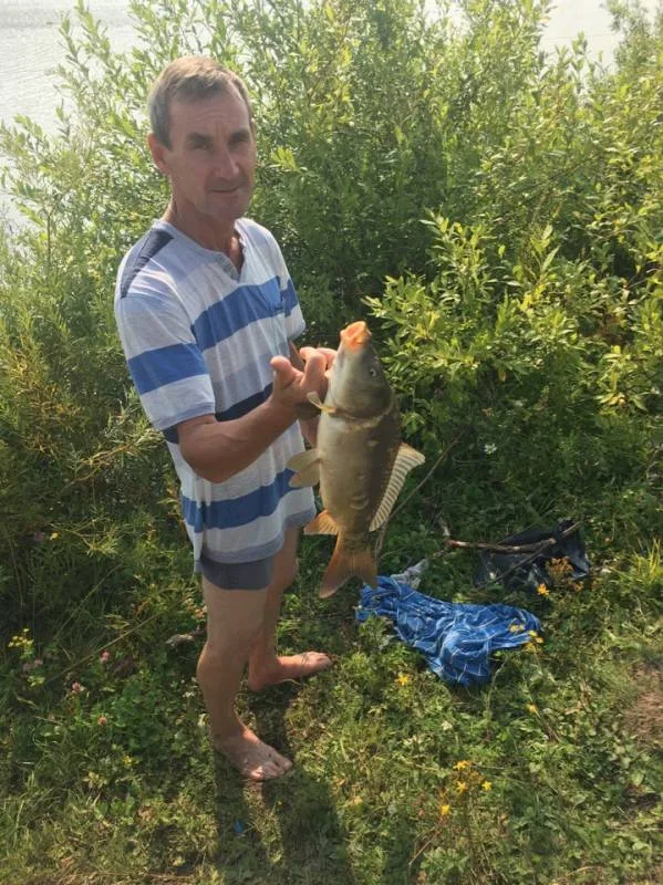 Карп