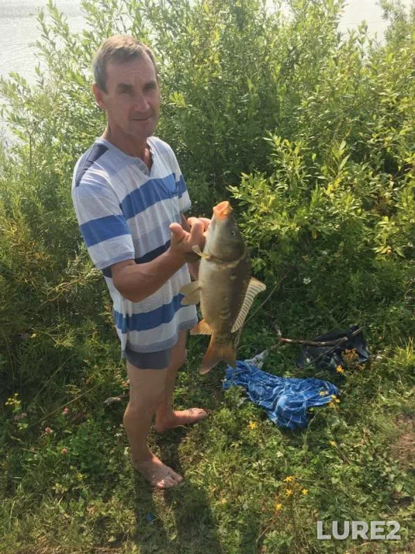 Карп — Бетька, 27 июл. 2019 г.