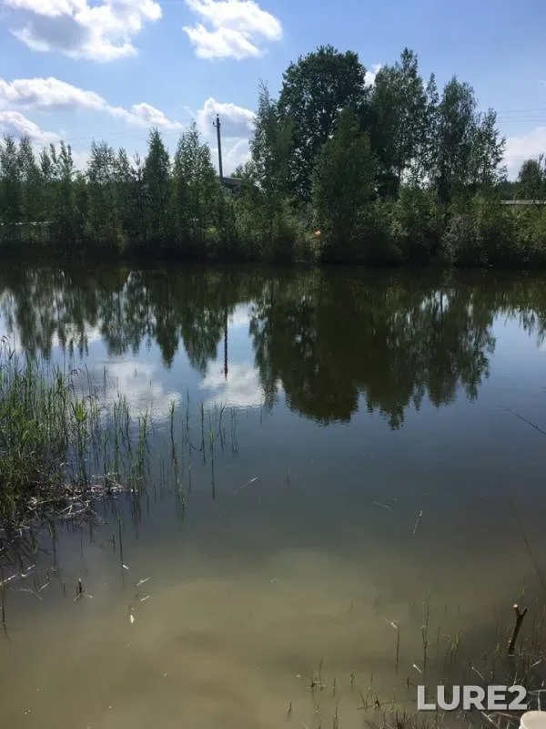 Карась, Линь — Рова, 26 мая 2019 г.