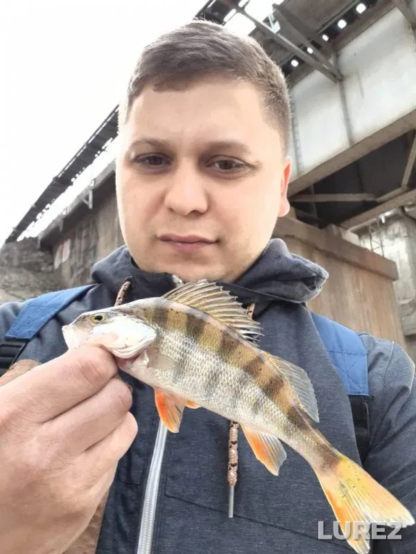 Окунь — Казанка, 06 окт. 2019 г.