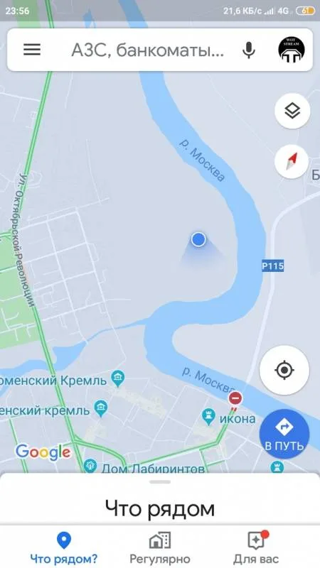 Лещ, Густера