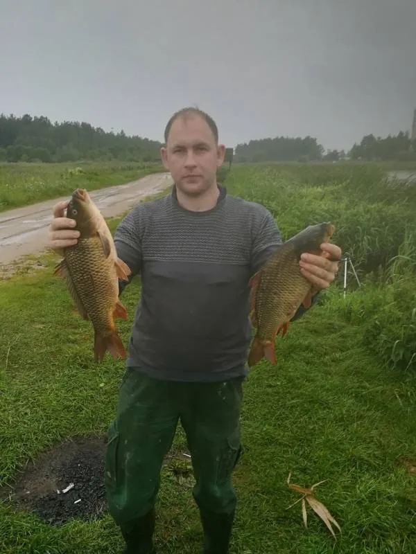 Карп
