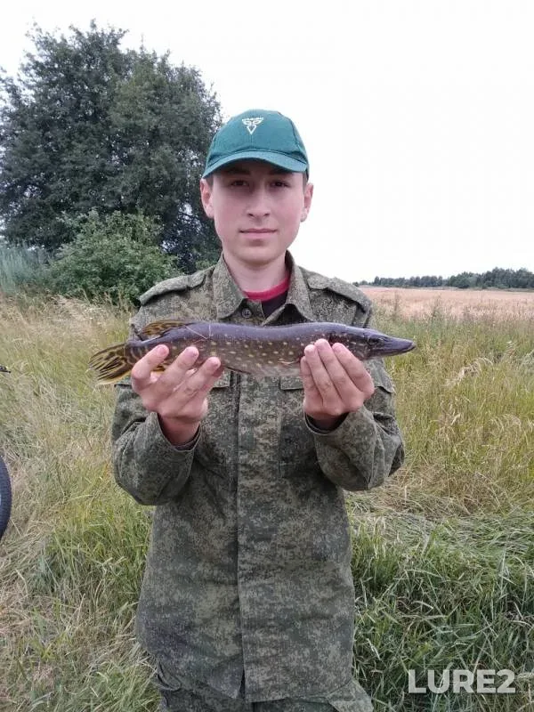Щука — Бобрик, 05 июл. 2019 г.