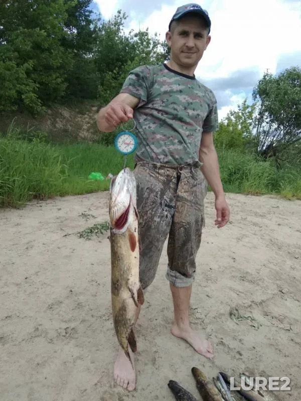 Щука — Березина, 02 июн. 2019 г.