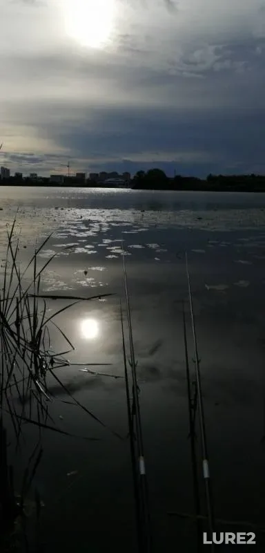 Карп — Нолька, 07 июл. 2019 г.