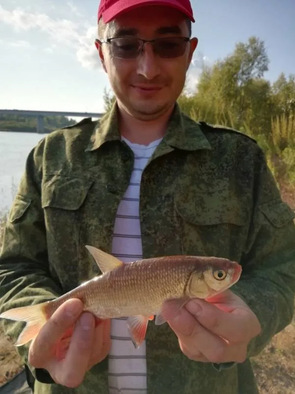 Голавль