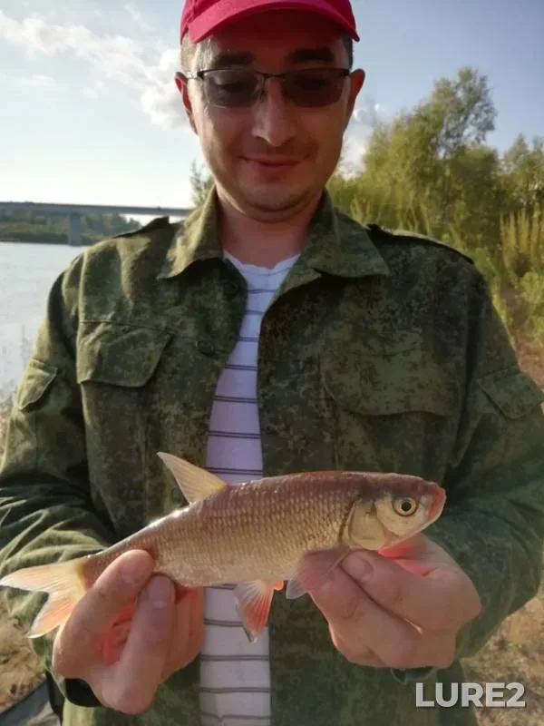 Голавль — Ветлуга, 07 сент. 2019 г.