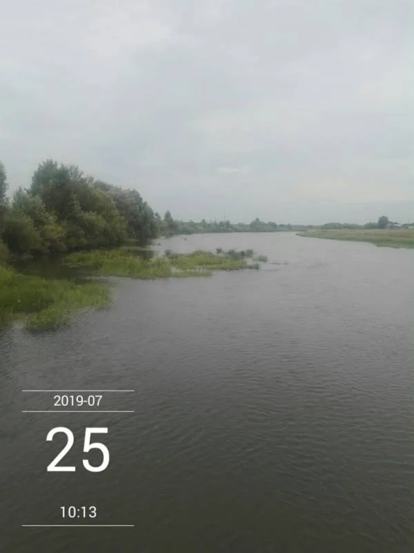 Уклейка, Щука
