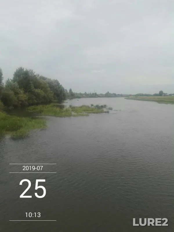 Уклейка, Щука — Республика Мордовия, 26 июл. 2019 г.