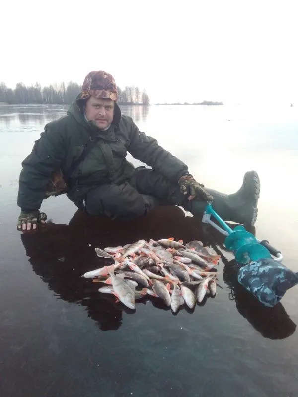 Окунь
