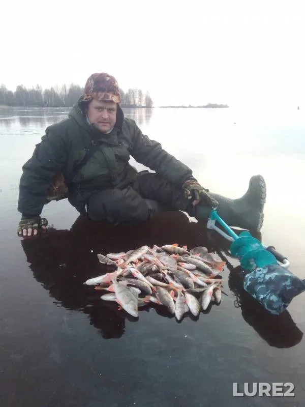 Окунь — Чебоксарское, 24 нояб. 2019 г.