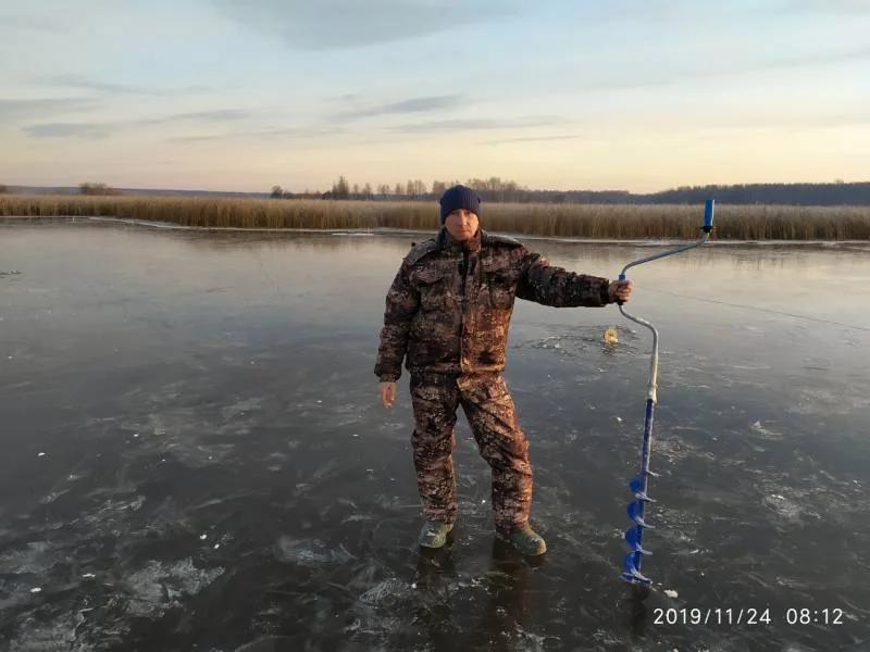 Щука