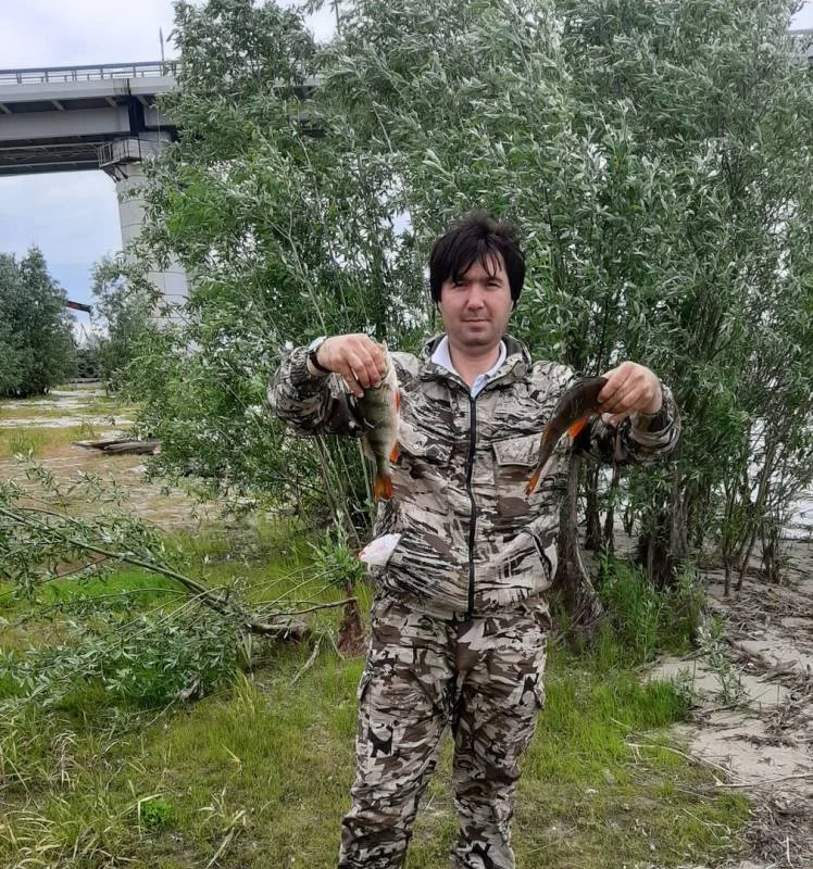 Окунь
